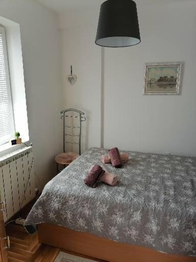 Anka Apartman สเมเดเรโว ภายนอก รูปภาพ